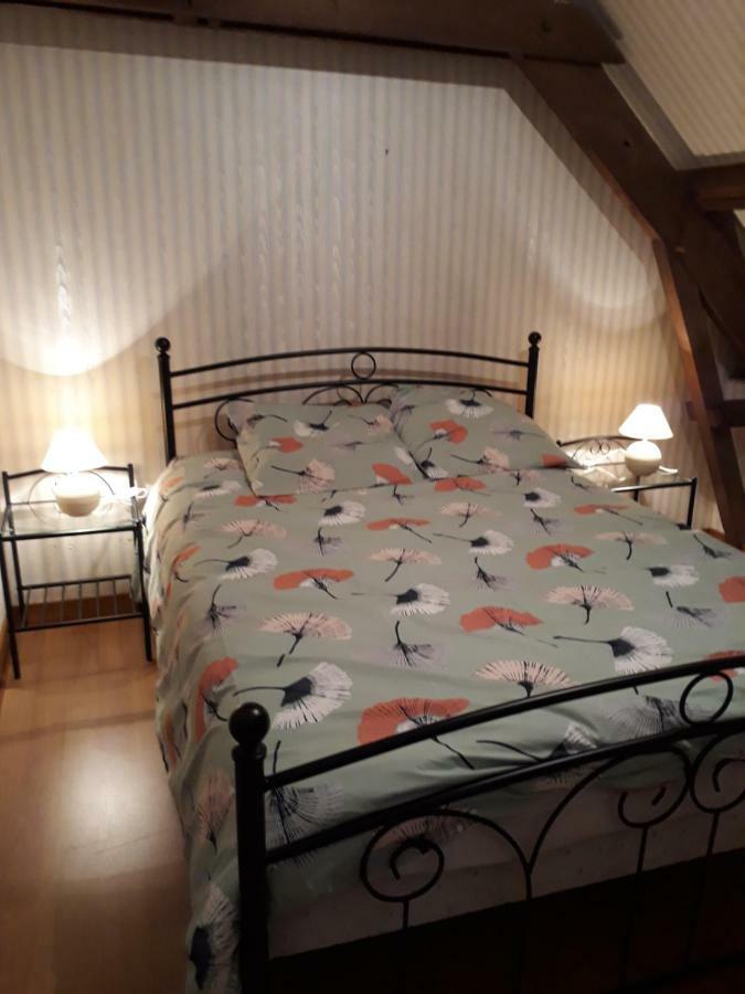 Les Roses Tremieres Villa Trans-la-Foret Ngoại thất bức ảnh